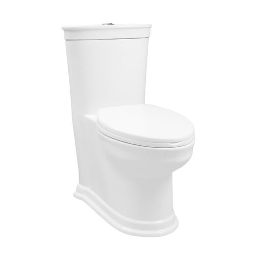 Elongated one-piece toilet in white with dual-flush system and smooth skirted trapway design.
