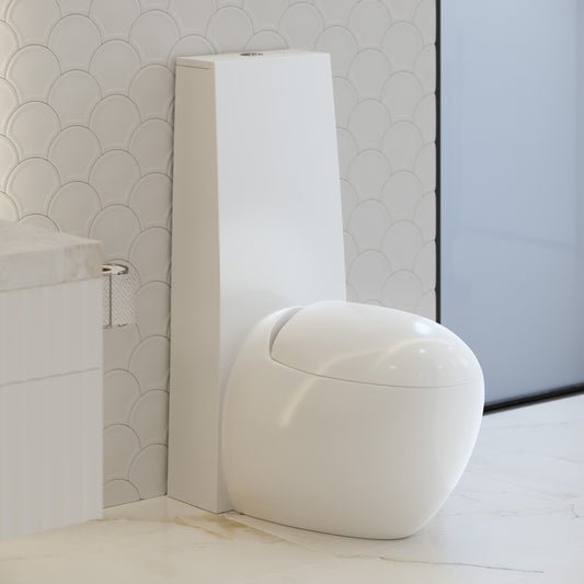 Elongated one-piece toilet with dual-flush, smooth rounded design, and concealed trapway in white ceramic.