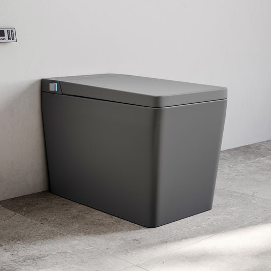 Concorde One Piece Smart Toilet 1.28 GPF in Matte Gray with Heated Bidet, Air Drying, Night Light, Foot Sensor